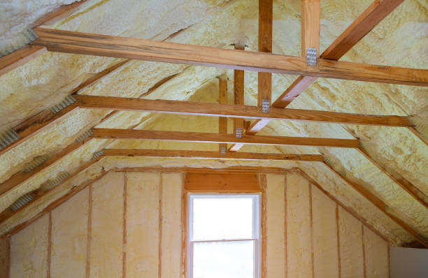 Best Blown-in Insulation in Orangetree, FL