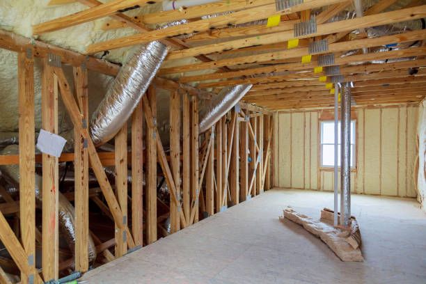 Best Insulation Maintenance and Repair in Orangetree, FL