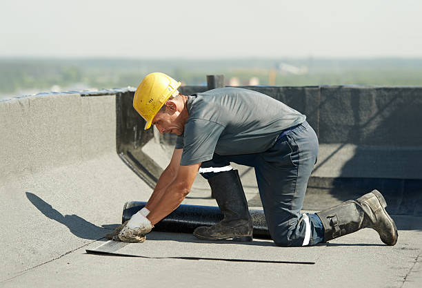 Best Spray Foam Insulation in Orangetree, FL